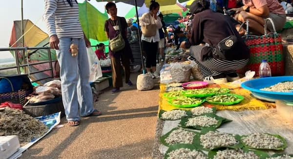ตลาดนัดไทยลาว ธาตุพนม