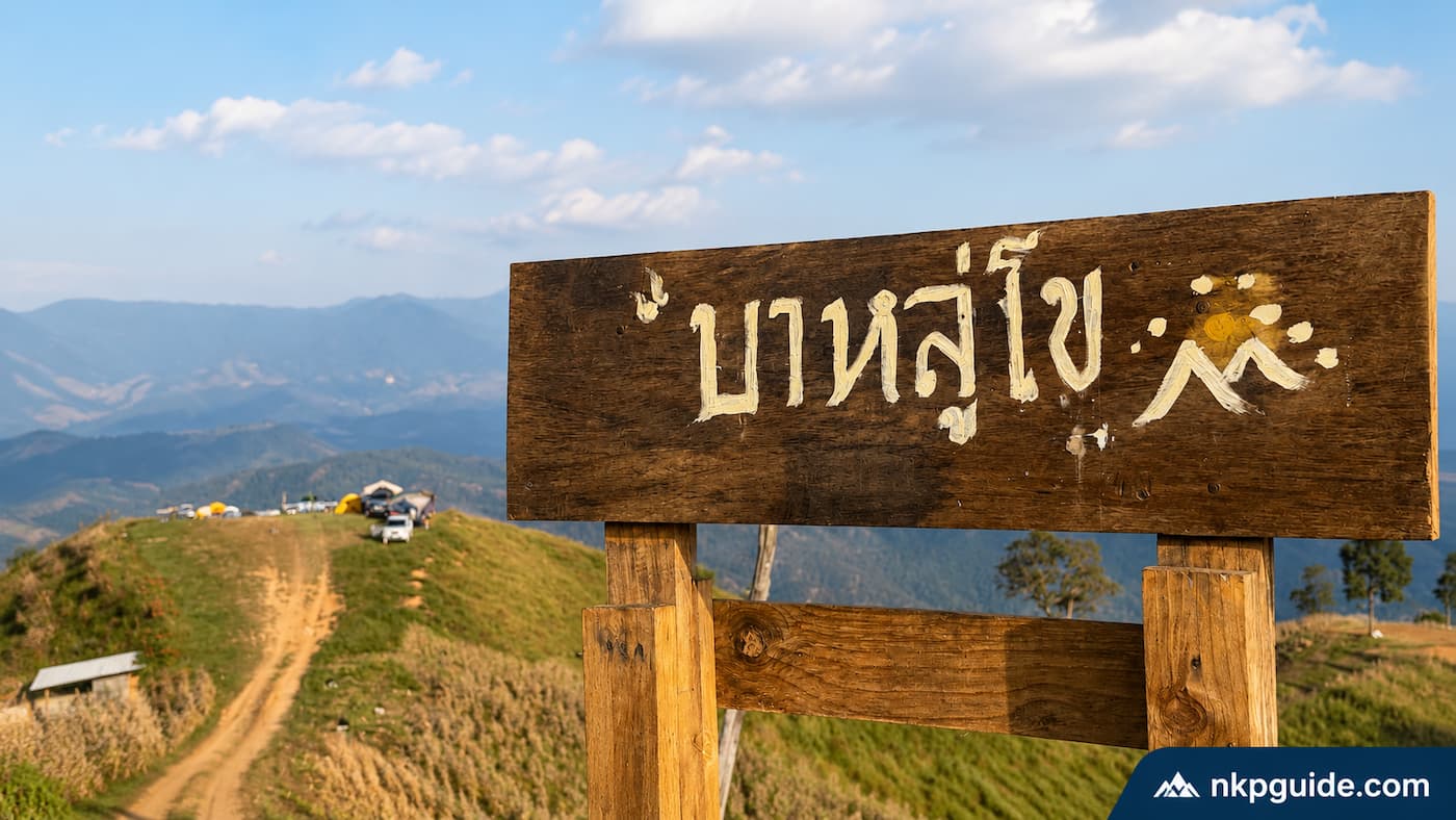 ทะเลหมอก บาหลู่โข่ แม่แจ่ม