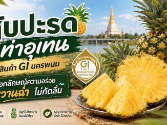 สับปะรดท่าอุเทน สินค้า GI นครพนม