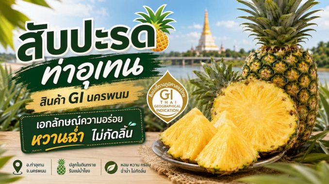 สับปะรดท่าอุเทน สินค้า GI นครพนม