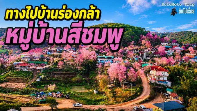 ขี่มอเตอร์ไซค์เที่ยว บ้านร่องกล้า รีวิวเส้นทาง จุดกางเต็นท์