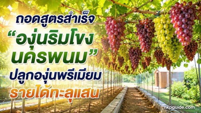 สวนองุ่นนครพนม